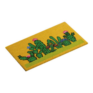 Zerbino Cactus Fibre Vegetali Brandani 50*80cm
