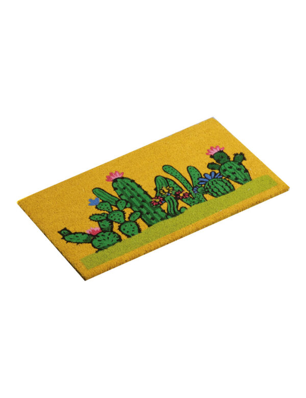 Zerbino Cactus Fibre Vegetali Brandani 50*80cm