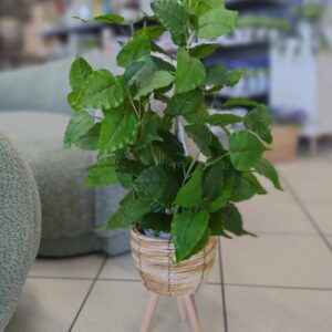 Pianta Foglie Tropicali con P.Vaso Rialzato H.95cm