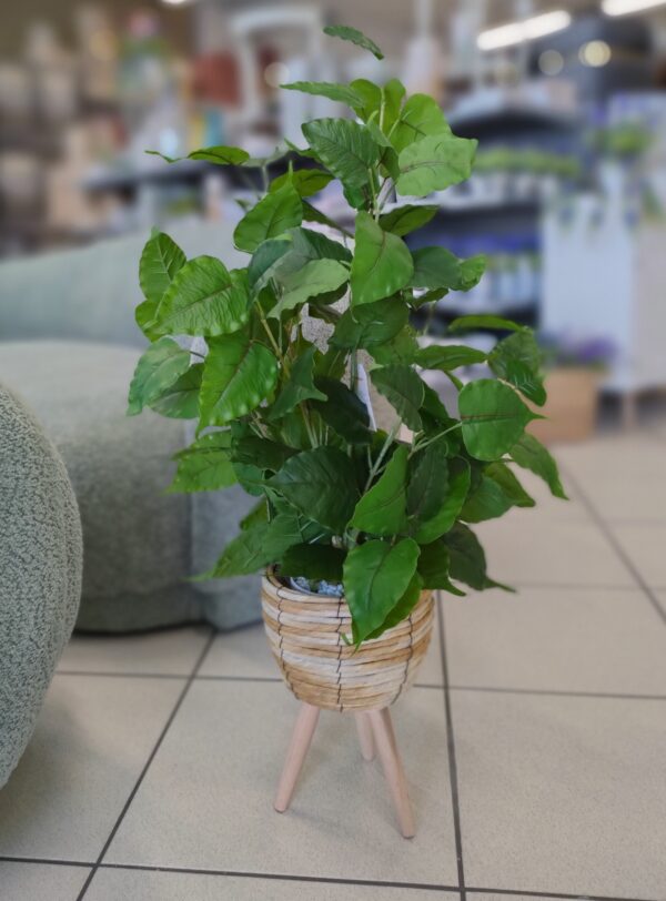 Pianta Foglie Tropicali con P.Vaso Rialzato H.95cm