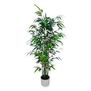 Pianta Bambù 672foglie H.160cm