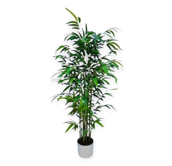 Pianta Bambù 672foglie H.160cm