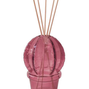 Diffusore di Fragranza Cactus Purple Vetro con Bastoncini Fiber Wood