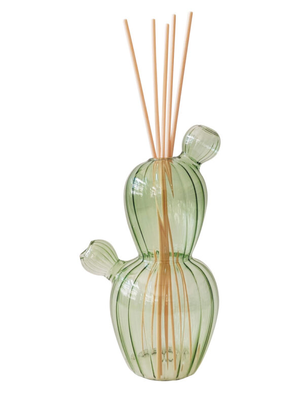 Diffusore di Fragranza Cactus Verde Vetro con Bastoncini Fiber Wood