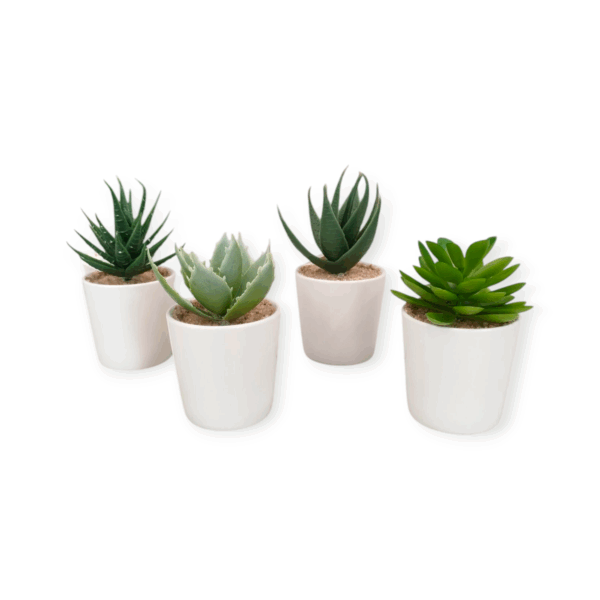 Set 4 Piantine Vaso Bianco 6*6*H.12,8cm