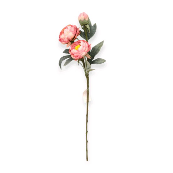 Stelo 3 Peonie Harmony 79cm - immagine 2