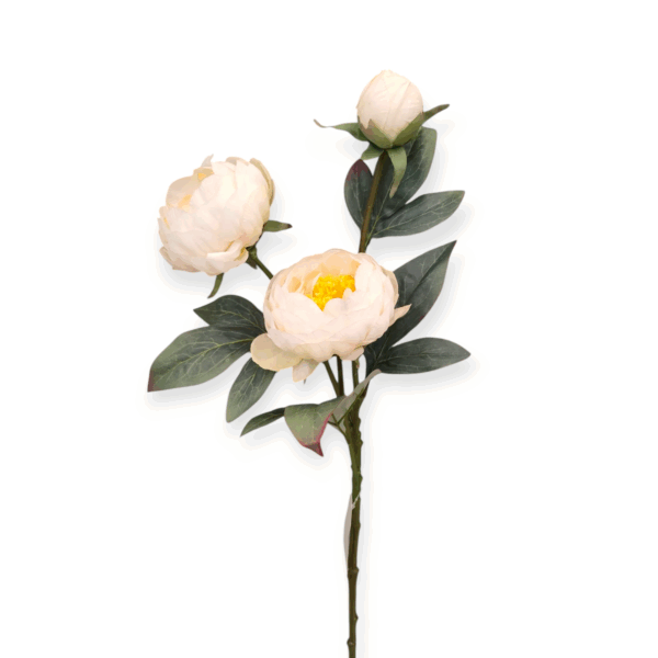 Stelo 3 Peonie Harmony 79cm - immagine 3