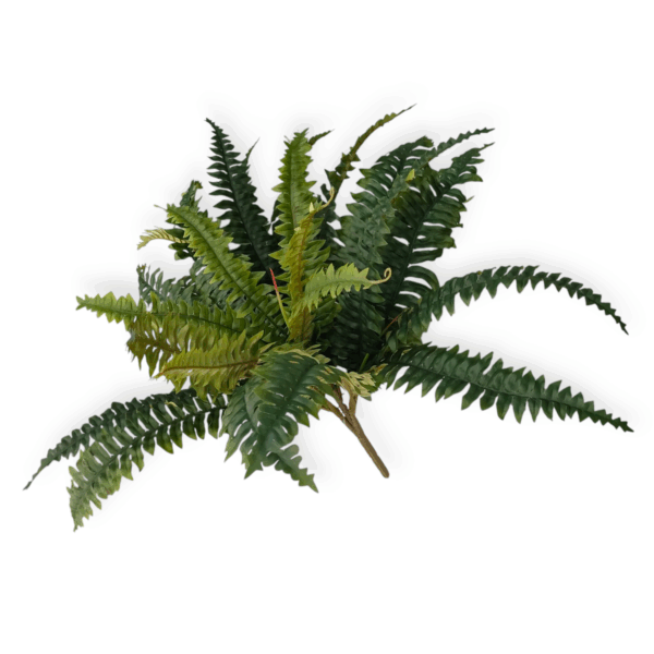 Bush Felce 25Foglie H.46cm - immagine 3