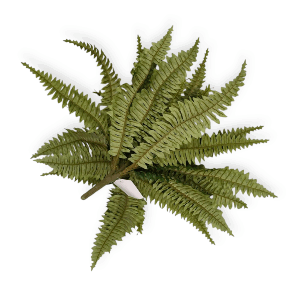 Bush Felce 25Foglie H.46cm - immagine 2