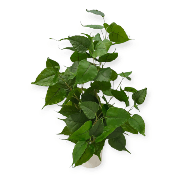 Pianta Foglie Tropicali con P.Vaso Rialzato H.95cm - immagine 2