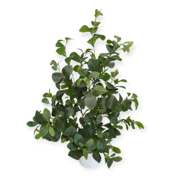 Pianta Verde Long Natural H.90cm - immagine 2
