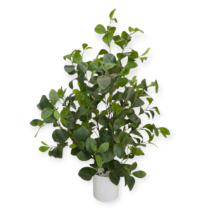 Pianta Verde Long Natural H.90cm