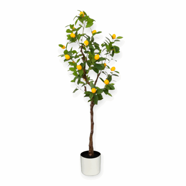 Albero Limone 254foglie 20frutti 135cm