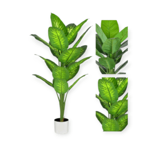 Pianta Tropical Diffenbachia 19 Foglie 120cm