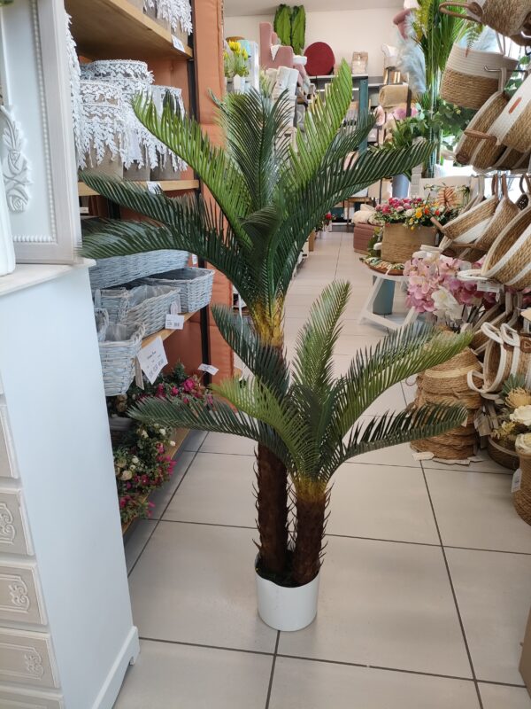 Pianta Doppia Cicas 125cm - immagine 3