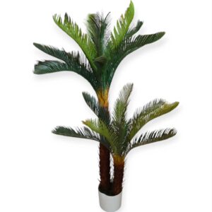 Pianta Doppia Cicas 125cm