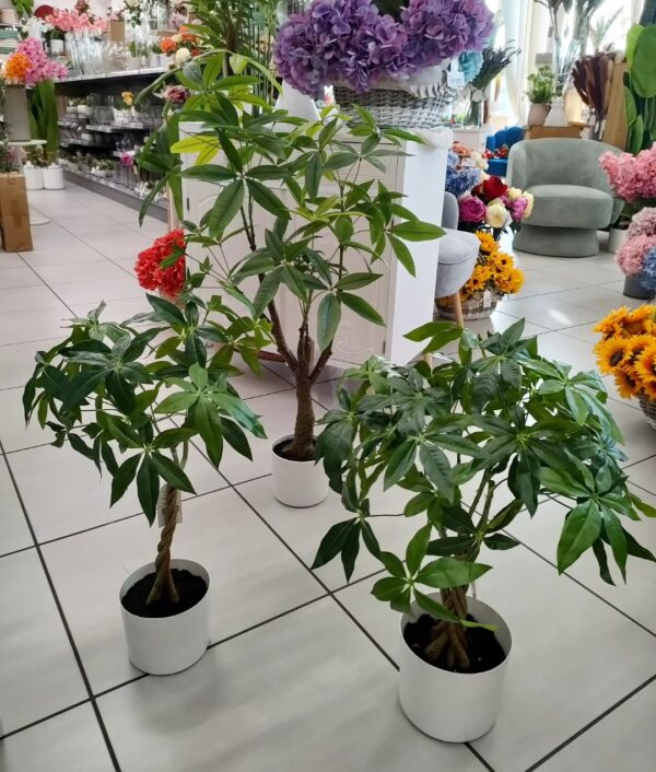 Albero Tropicale Pachira (180foglie) H.100cm - immagine 4