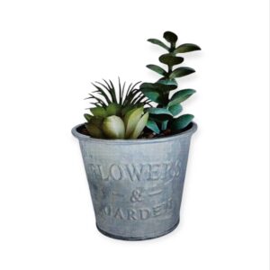 Pianta Grassa Vaso Metallo 8*8*H.13cm