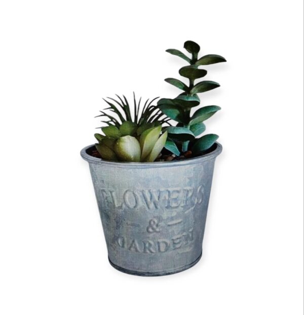 Pianta Grassa Vaso Metallo 8*8*H.13cm