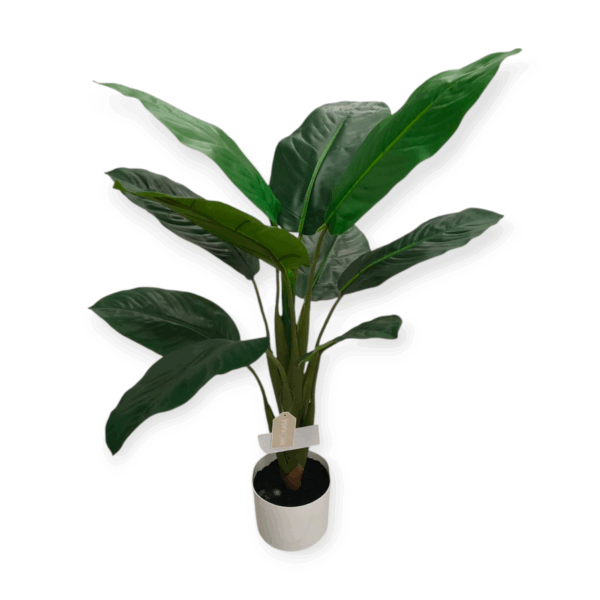 Pianta Tropical Diffenbachia 11 Foglie 90cm - immagine 3
