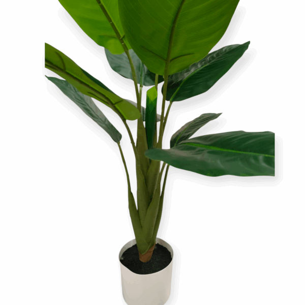 Pianta Tropical Diffenbachia 11 Foglie 90cm - immagine 4