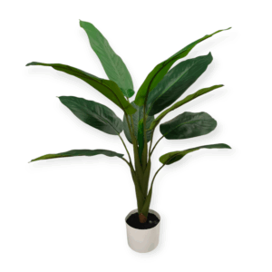 Pianta Tropical Diffenbachia 11 Foglie 90cm