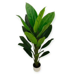Pianta Tropical Diffenbachia 19 Foglie 120cm