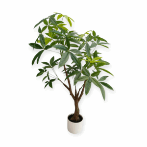 Albero Tropicale Pachira (180foglie) H.100cm