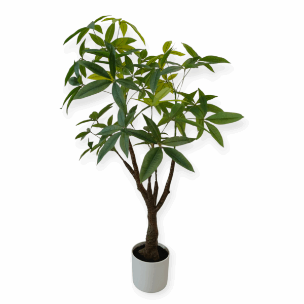 Albero Tropicale Pachira (180foglie) H.100cm - immagine 2