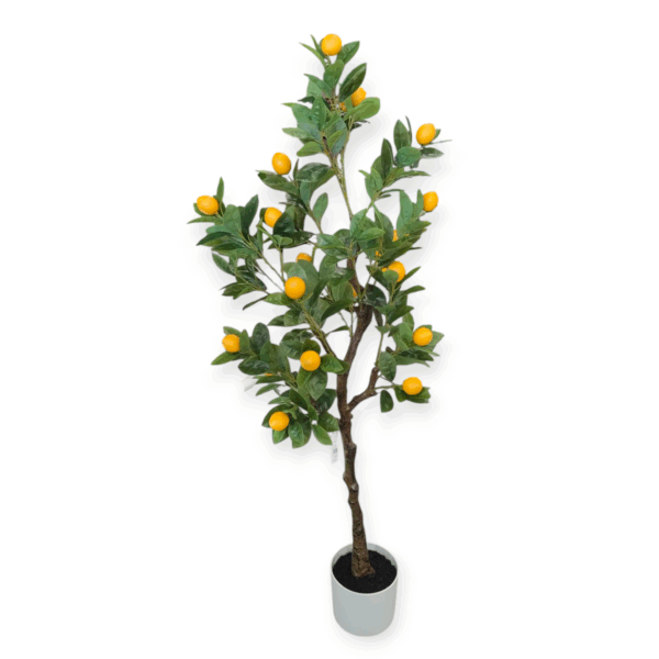 Albero Limone 254foglie 20frutti 135cm - immagine 3