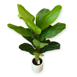 Pianta Banano 16 Foglie 120cm