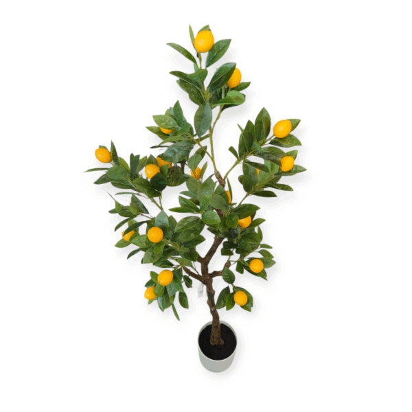 Albero Limone 254foglie 20frutti 135cm - immagine 2