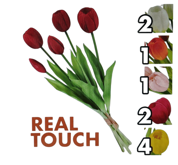 Bush Tulipani Jolie 5Fiori 5colori 39,5cm