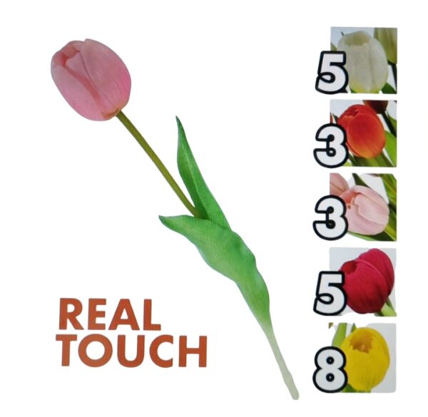Stelo Tulipano Jolie 5colori 39,5cm