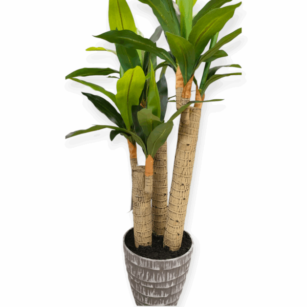 Vaso Draceba 58 Foglie 85cm - immagine 2