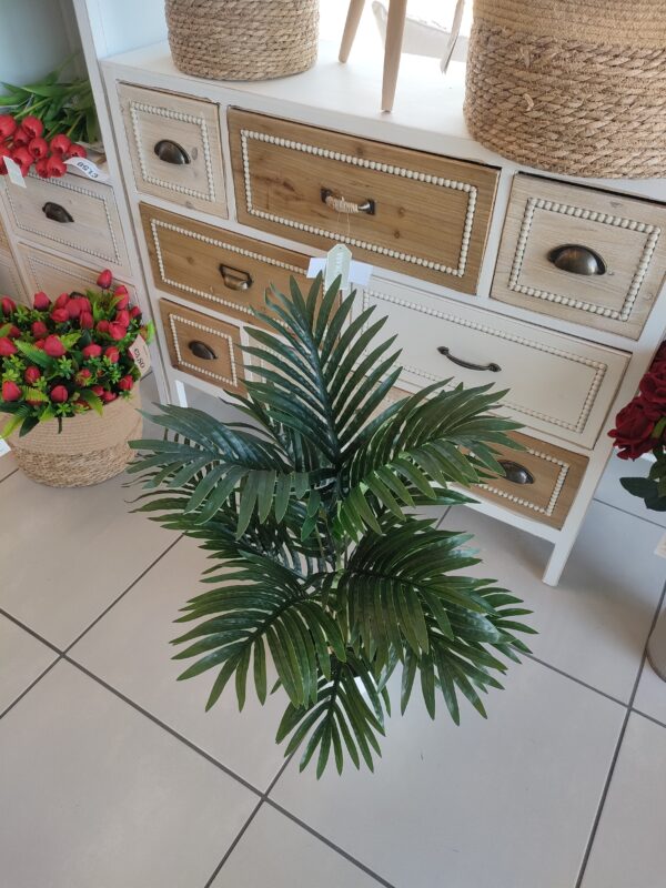 PIANTA PALMA VASO BIANCO 60CM - immagine 4