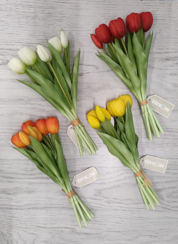 Bush Tulipani Jolie 7Fiori 4colori 32cm