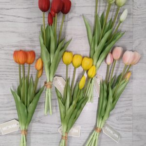 Bush Tulipani Jolie 5Fiori 5colori 39,5cm
