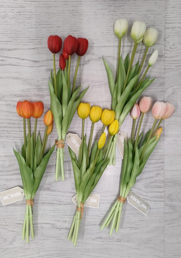 Bush Tulipani Jolie 5Fiori 5colori 39,5cm