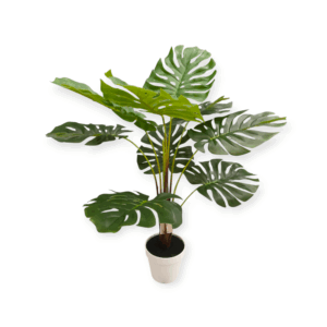 Vaso Tropicale Monstera 75cm