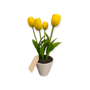Vaso 5 Tulipani Real Touch Cemento H.30,5cm (2Colori)
