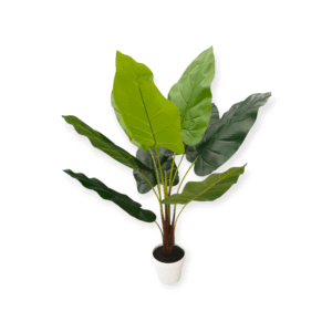 Vaso Tropicale Plain 75cm