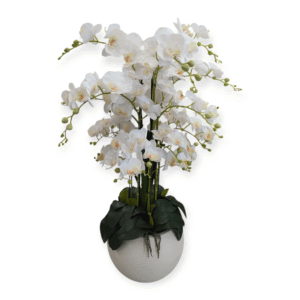 Orchidea White Round Pot 102fiori H.90cm
