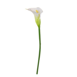 Calla Royal White H.68cm