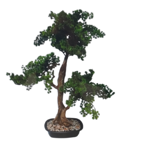 Bonsai Paceful 83cm