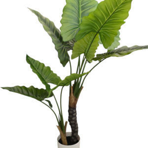 Pianta Tropical Point H.120cm