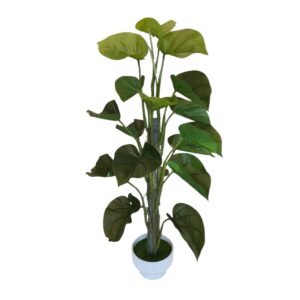 Pianta Tropicale H.67cm