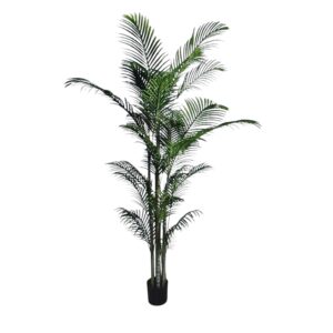 Palma Green in Vaso 20Foglie H.213cm