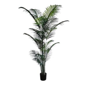 Palma Green in Vaso 30Foglie H.244cm
