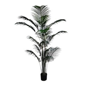 Palma Green in Vaso 17Foglie H.183cm